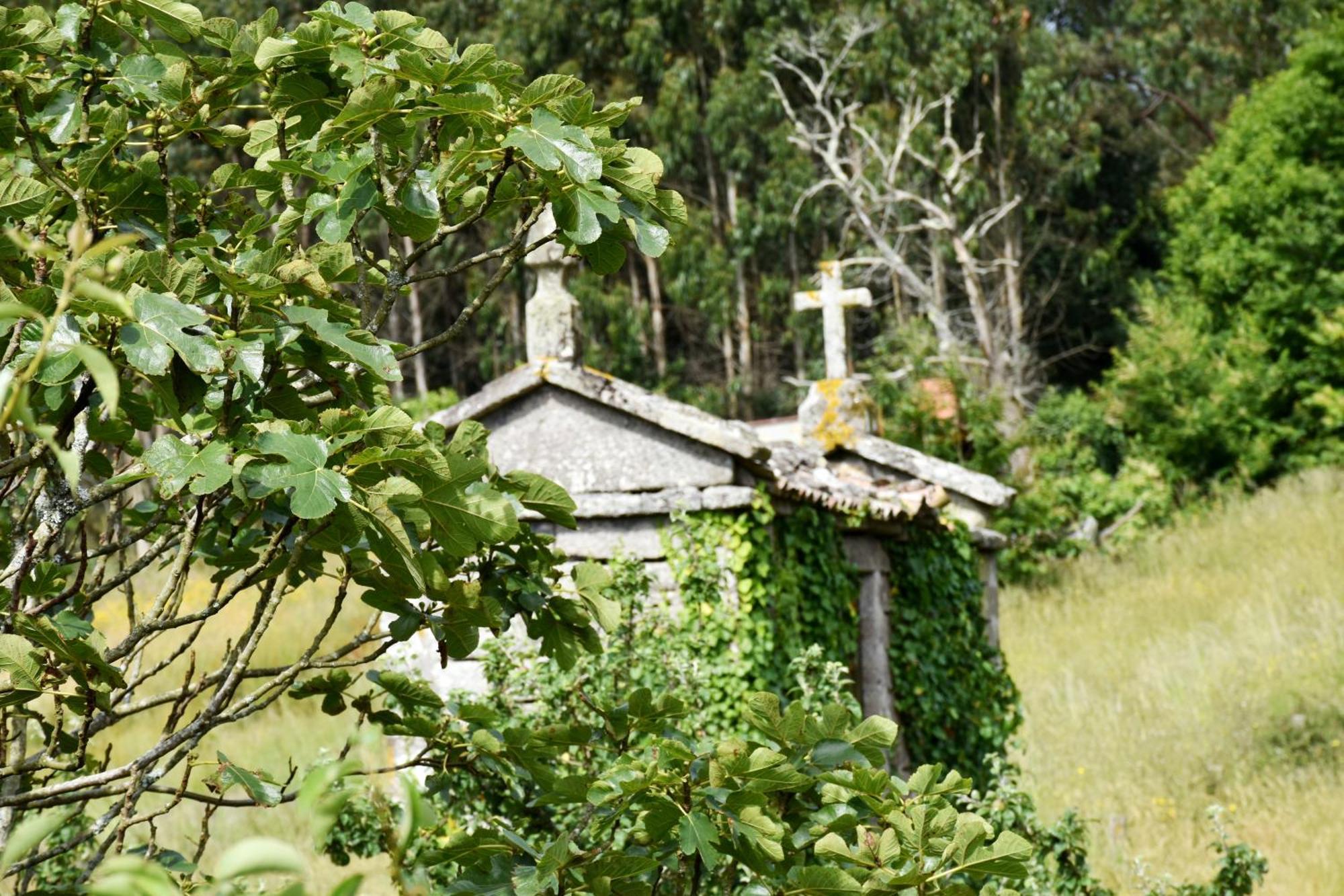 무히아 Casa Cal Da Rosins 빌라 외부 사진
